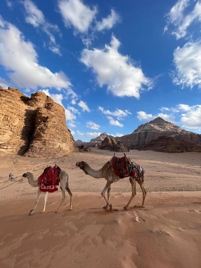 Desert Jewel Camp Rum vádi Kültér fotó
