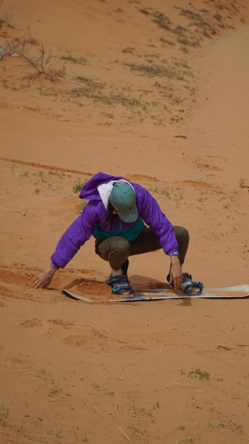 Desert Jewel Camp Rum vádi Kültér fotó